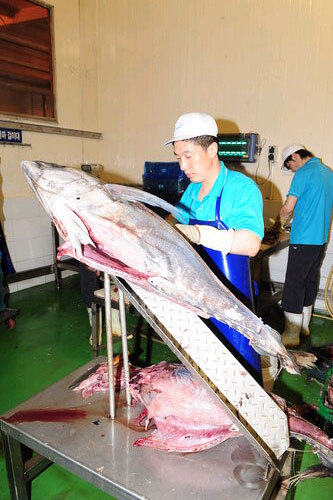 참치캔이 만들어지는 과정.jpg | 인스티즈