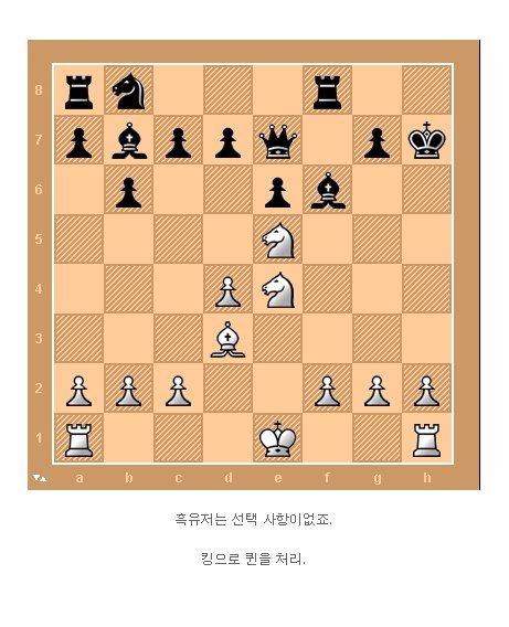 체스천재의 한수 | 인스티즈