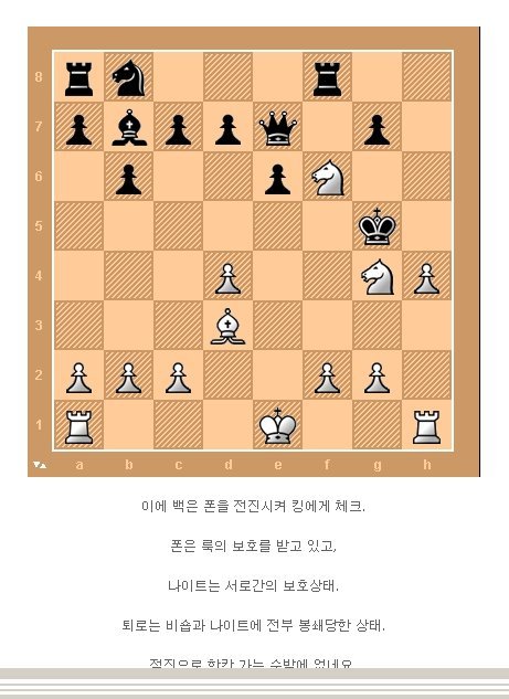 체스천재의 한수 | 인스티즈