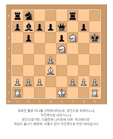 체스천재의 한수 | 인스티즈