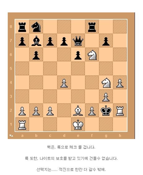 체스천재의 한수 | 인스티즈