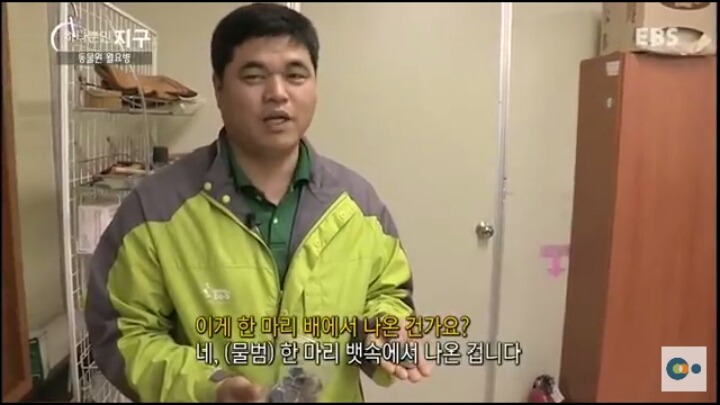 동물원 동물들이 월요병 생기는 이유 | 인스티즈