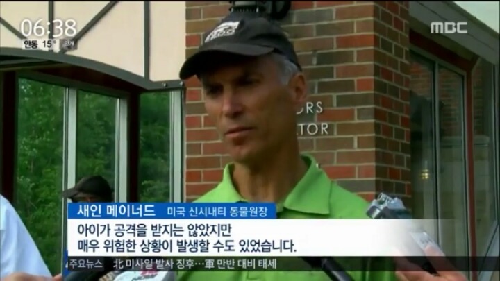 고릴라사살 과잉진압이다vs아니다 | 인스티즈