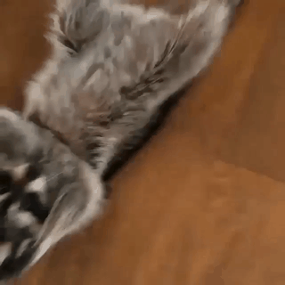 옆구르기.gif | 인스티즈