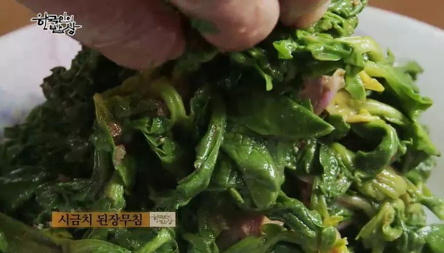 한국인의 밥상 - 비금도 시금치 | 인스티즈