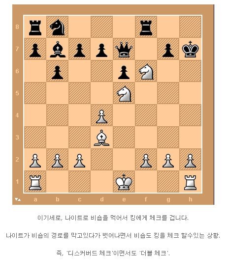 체스천재의 한수 | 인스티즈