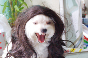 잠 많은 하얀 고양이의 아침 ㅋㅋㅋㅋㅋㅋ | 인스티즈