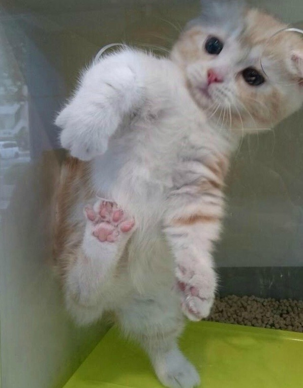 마! 만졋으면 대려가야지 어디가! | 인스티즈