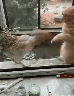 무림고수들의 숨막히는 대결!!! | 인스티즈