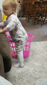 고양이가 이렇게 하던데 | 인스티즈