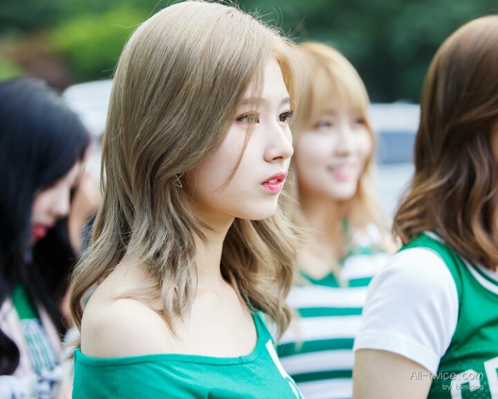 [트와이스] 미사모 출퇴근길 모음 | 인스티즈