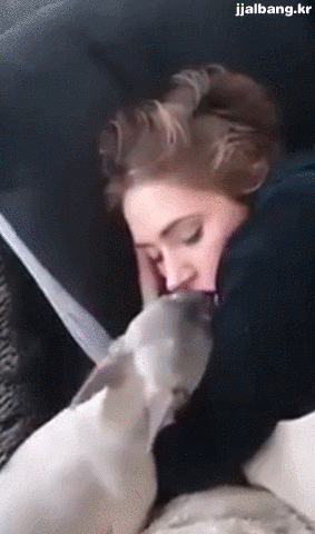 여자분들 잘 때 개 조심하시 개.gif | 인스티즈
