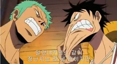 [원피스] 루피가 가장 신뢰하는 동료.jpg | 인스티즈