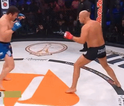 효도르 vs 차엘소넨 타격 맞불 | 인스티즈