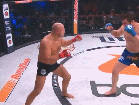 효도르 vs 차엘소넨 타격 맞불 | 인스티즈