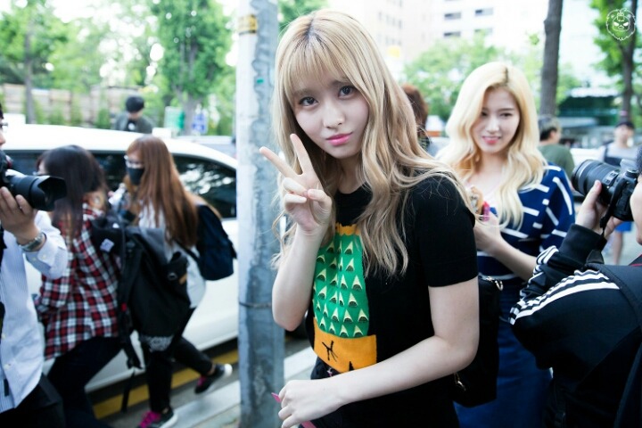 [트와이스] 미사모 출퇴근길 모음 | 인스티즈