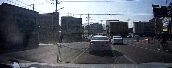 치게 하는 자라니.gif | 인스티즈