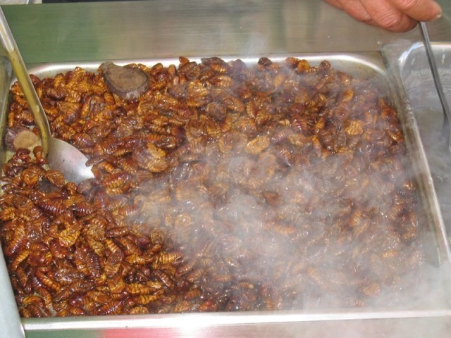 호불호 극명하게 갈리는 음식 5가지 | 인스티즈