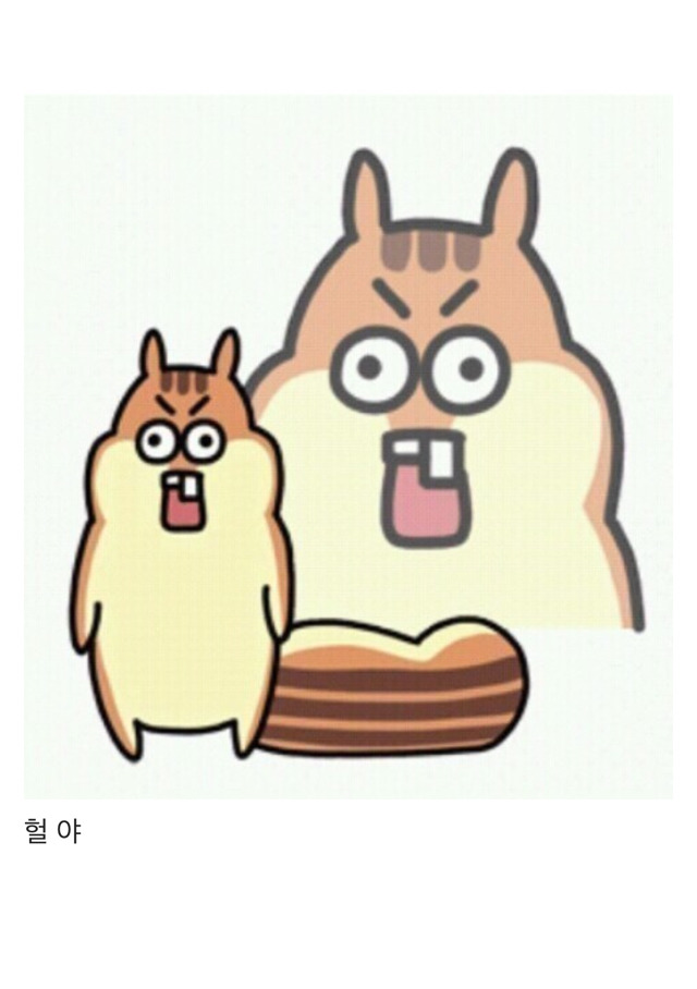 친구랑 다이소 갔을 때 공감.jpg | 인스티즈