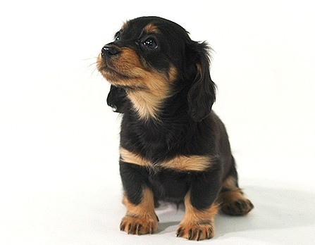 명절날 조금 짜증나는거 중 하나 | 인스티즈