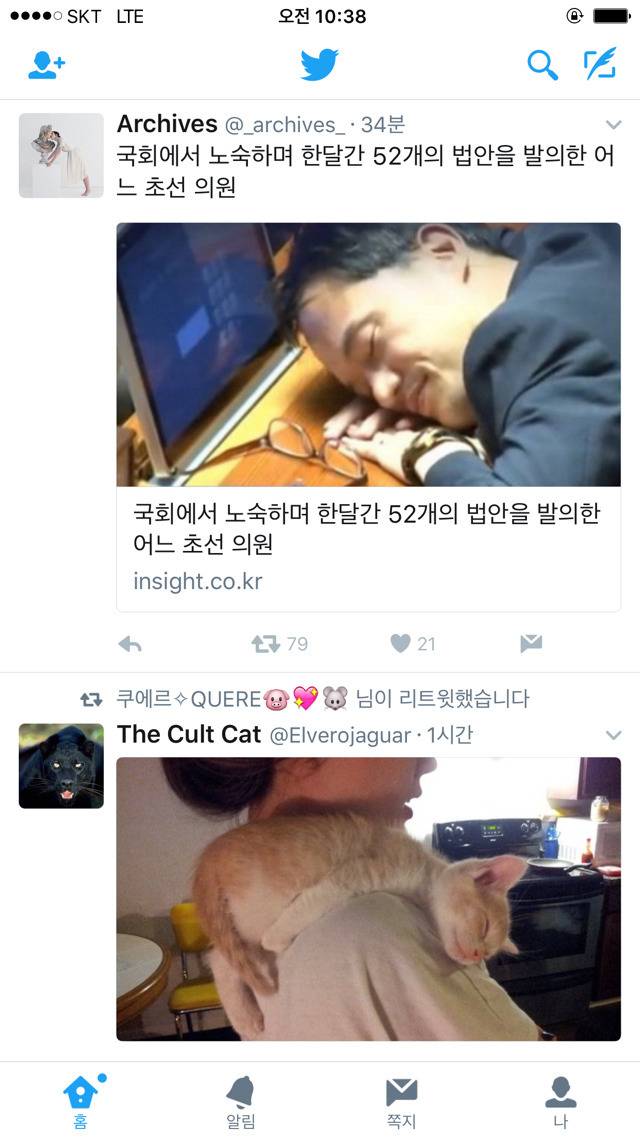 거지갑 고양이설.JPG | 인스티즈