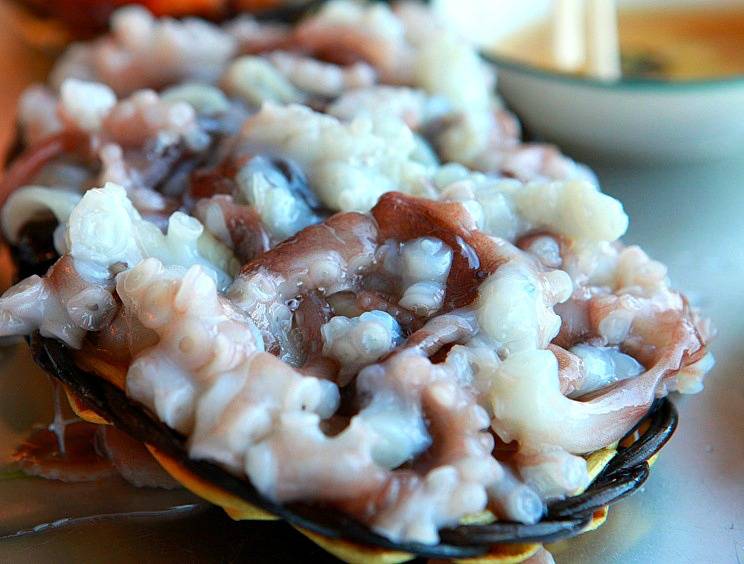 20,000원 부산 해산물 드실래요? | 인스티즈