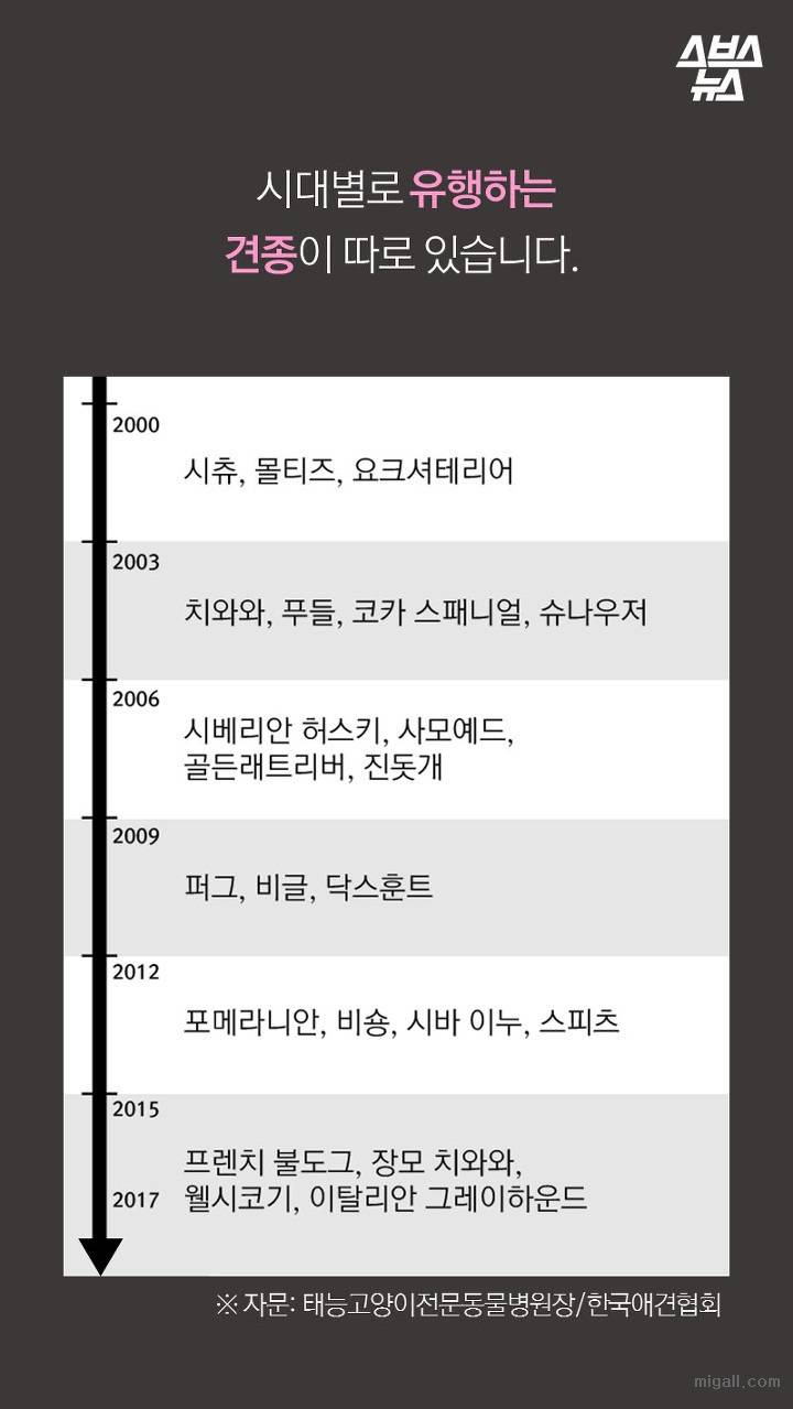 개들도 유행을 탄다.JPG | 인스티즈