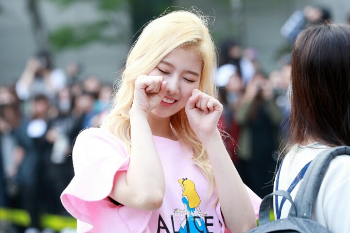 [트와이스] 미사모 출퇴근길 모음 | 인스티즈