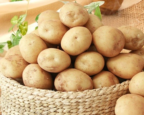 감자 vs 고구마 (둘다먹기없음!! 헿) | 인스티즈