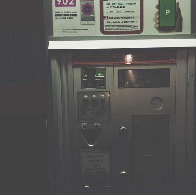 눈만 생겨도 귀여워 지는 세상 | 인스티즈