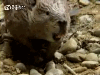 18년의 대공사가....gif | 인스티즈