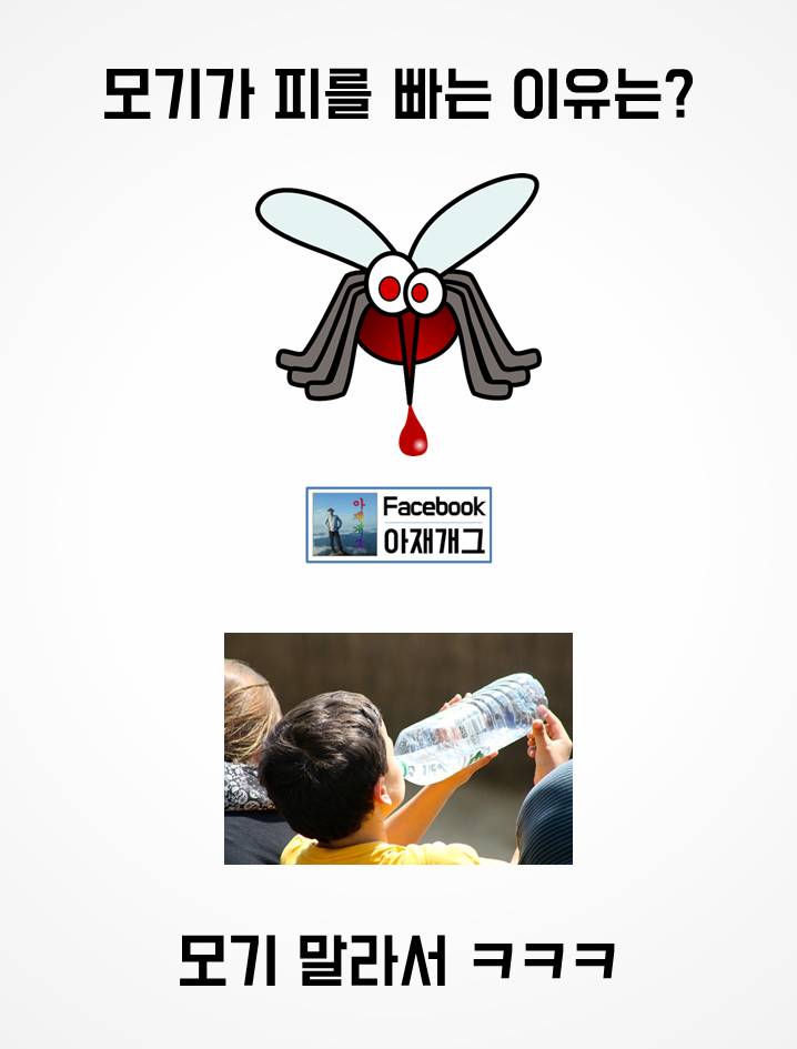 모기가 피를 빠는 이유 ㅋㅋㅋㅋㅋㅋㅋㅋ | 인스티즈