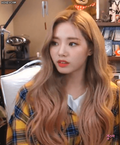 오늘자 대도서관TV방송에 출연한 프로미스나인 박지원 &amp; 이나경.GIF | 인스티즈