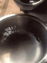 아마존에서 오줌싸면 안되는 이유 | 인스티즈