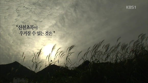 역사를 배워야 하는 EU | 인스티즈