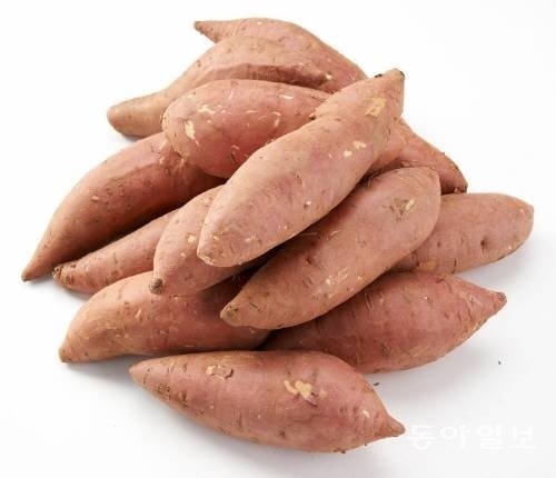 감자 vs 고구마 (둘다먹기없음!! 헿) | 인스티즈