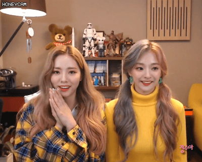 오늘자 대도서관TV방송에 출연한 프로미스나인 박지원 &amp; 이나경.GIF | 인스티즈