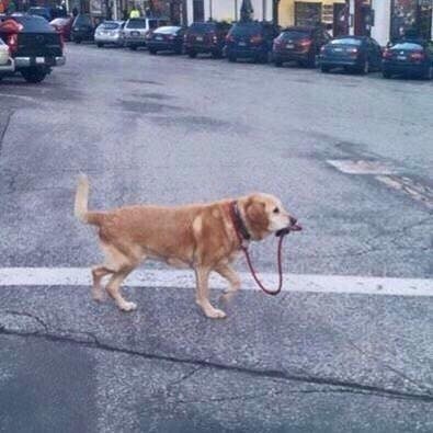 나 어디 안가. JPEG | 인스티즈