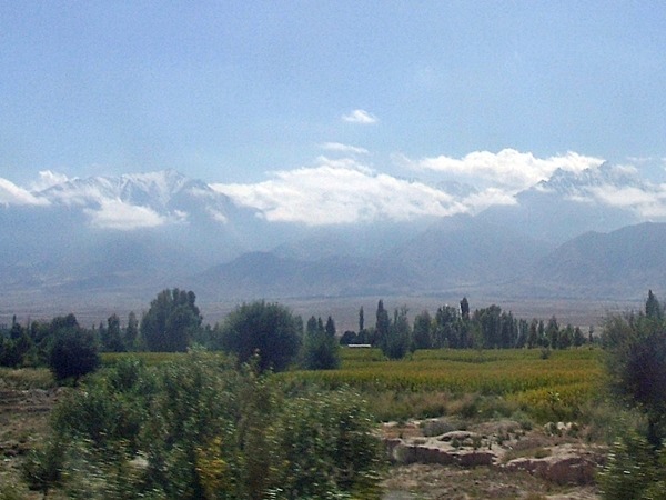 중국사 최고의 기린아 | 인스티즈