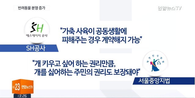 반려동물 때문에..쫓겨나고 전과자 되는 주인들 | 인스티즈