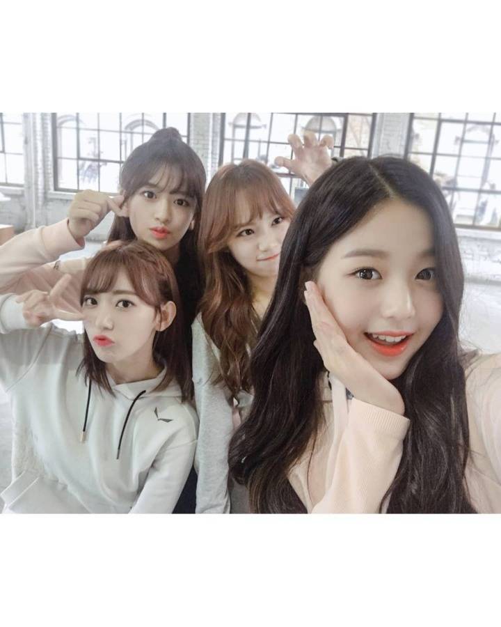 사쿠라 유진 채원 원영 인스타 (아이즈원) | 인스티즈