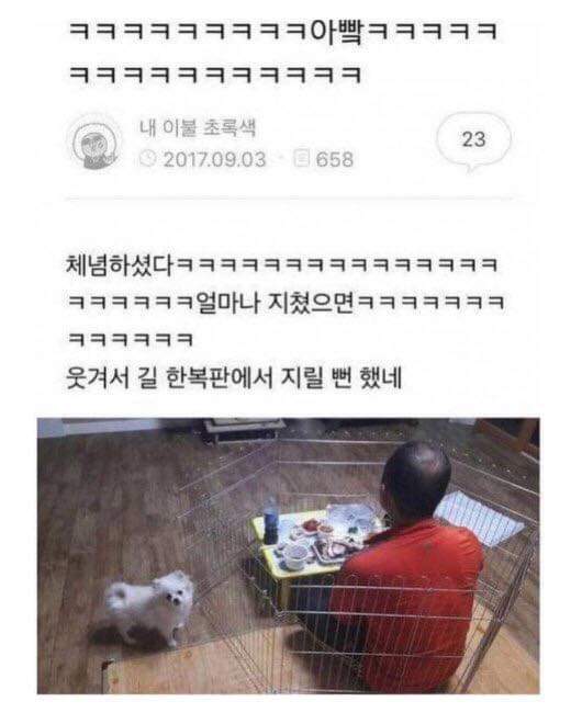 댕댕이에 지친 아버지 | 인스티즈