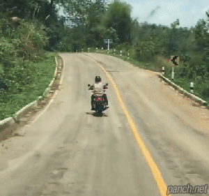 오토바이 공격하는 뱀 | 인스티즈