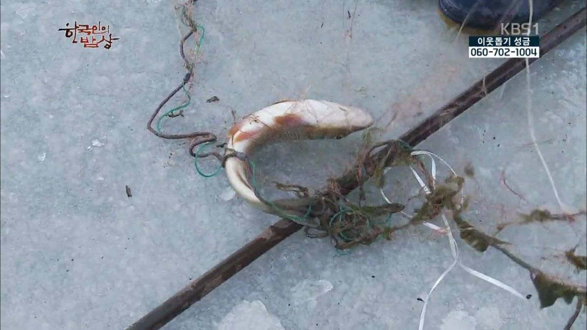 숯불로 해먹는 음식 좋아하시나요?.jpg | 인스티즈