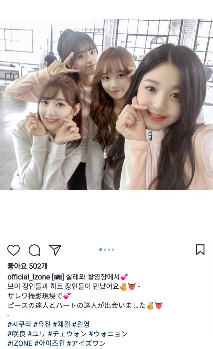 사쿠라 유진 채원 원영 인스타 (아이즈원) | 인스티즈