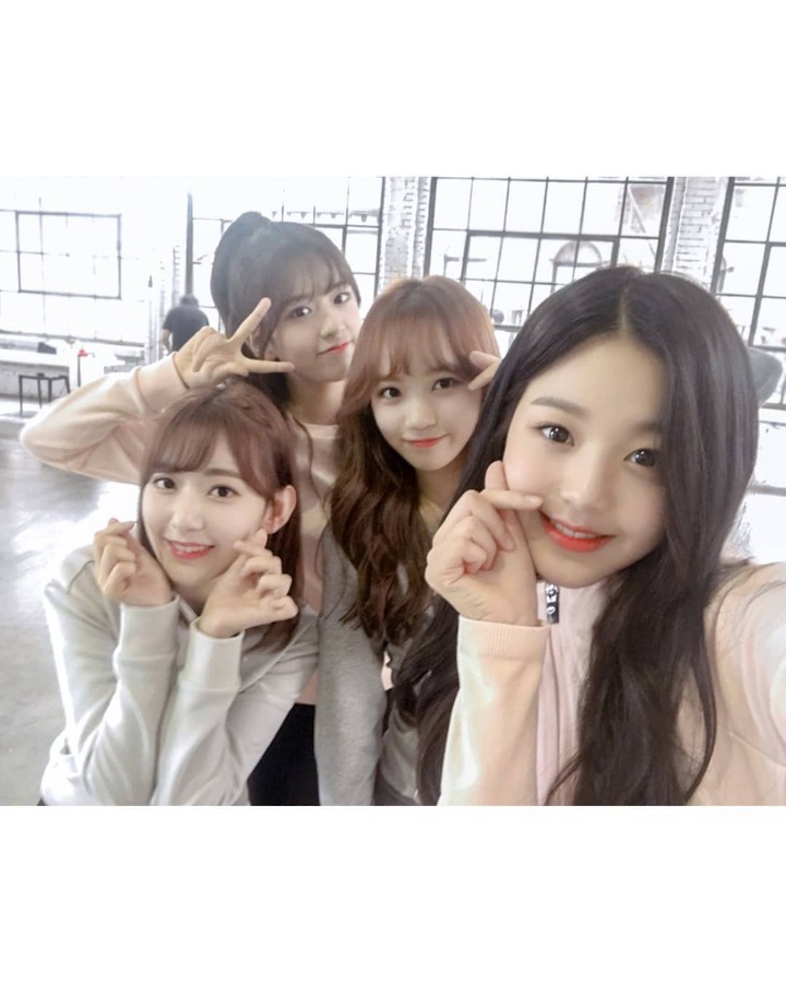 사쿠라 유진 채원 원영 인스타 (아이즈원) | 인스티즈