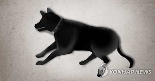 유기견 냉동고에 12시간 방치 죽게 한 보호센터장 송치 | 인스티즈