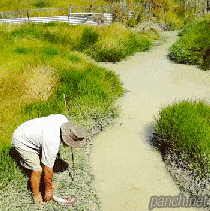 습지에서 조심해야 되는 이유 | 인스티즈