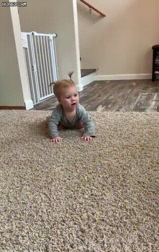 스르륵 필살기 쓰는 멍멍이 | 인스티즈