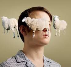 나는 불면증이다 vs 머리만 닿으면 잔다 | 인스티즈